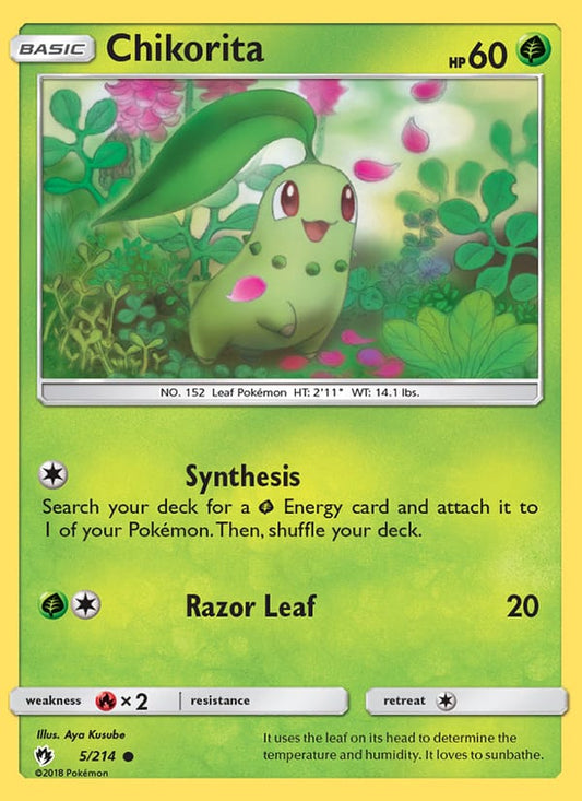 Chikorita (5)