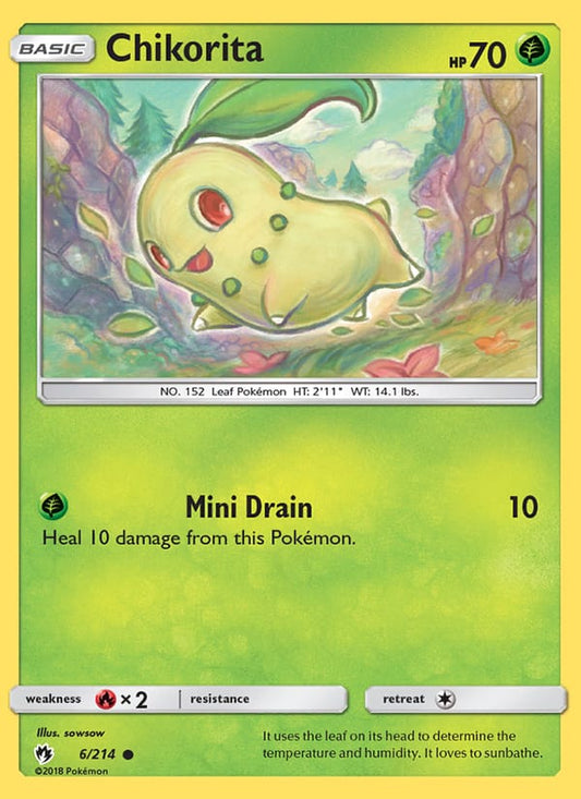 Chikorita (6)